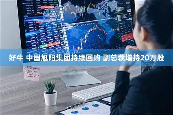 好牛 中国旭阳集团持续回购 副总裁增持20万股