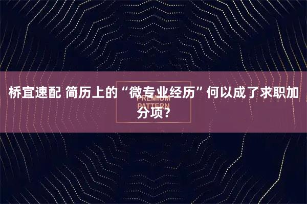 桥宜速配 简历上的“微专业经历”何以成了求职加分项？