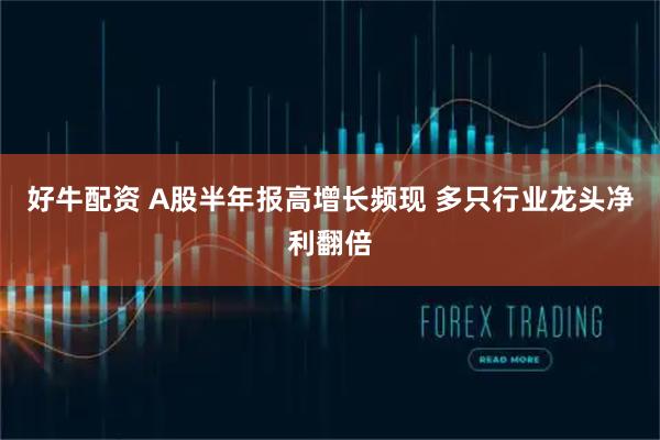 好牛配资 A股半年报高增长频现 多只行业龙头净利翻倍